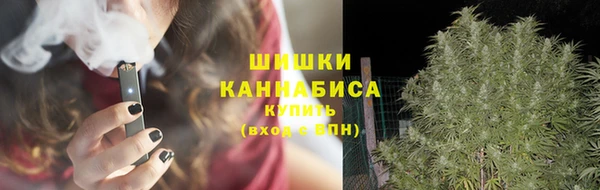 прущие грибы Абдулино