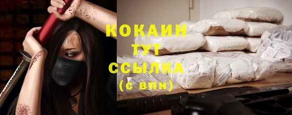 стафф Абинск