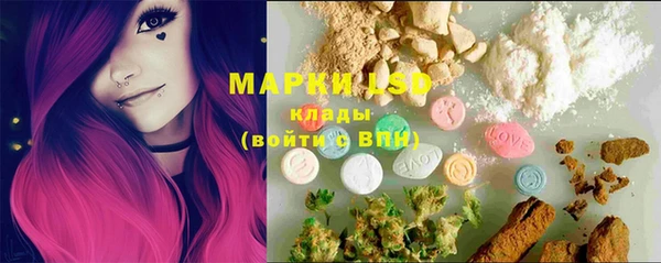 прущие грибы Абдулино