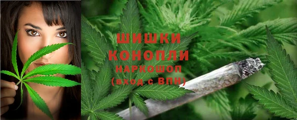 прущие грибы Абдулино