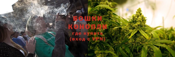 прущие грибы Абдулино