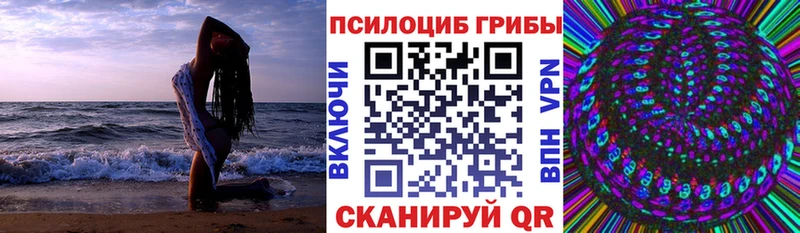блэк спрут ТОР  Микунь  Псилоцибиновые грибы Magic Shrooms  закладки 